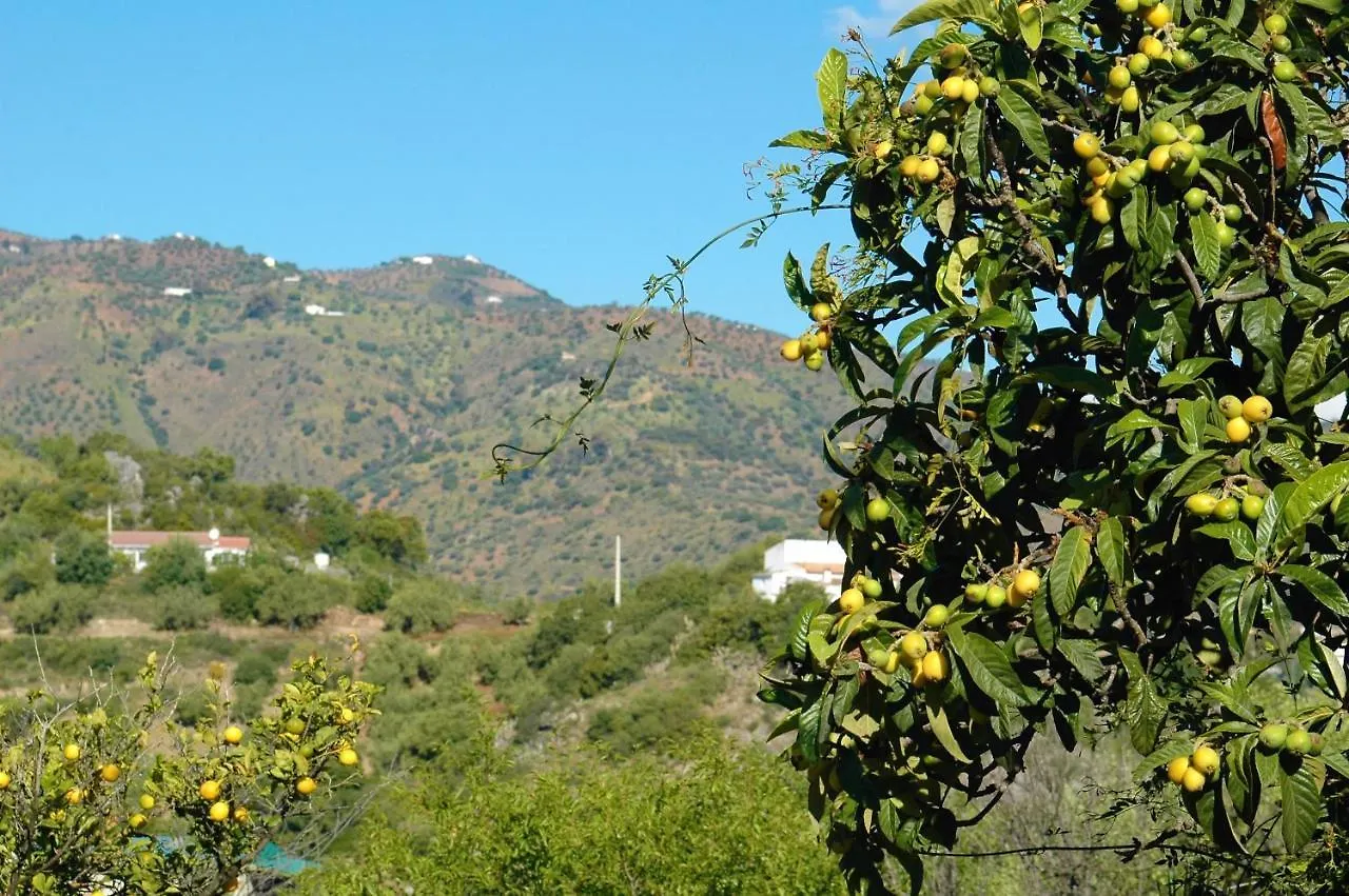 Jingtu Wellness & Spa B&B Comares