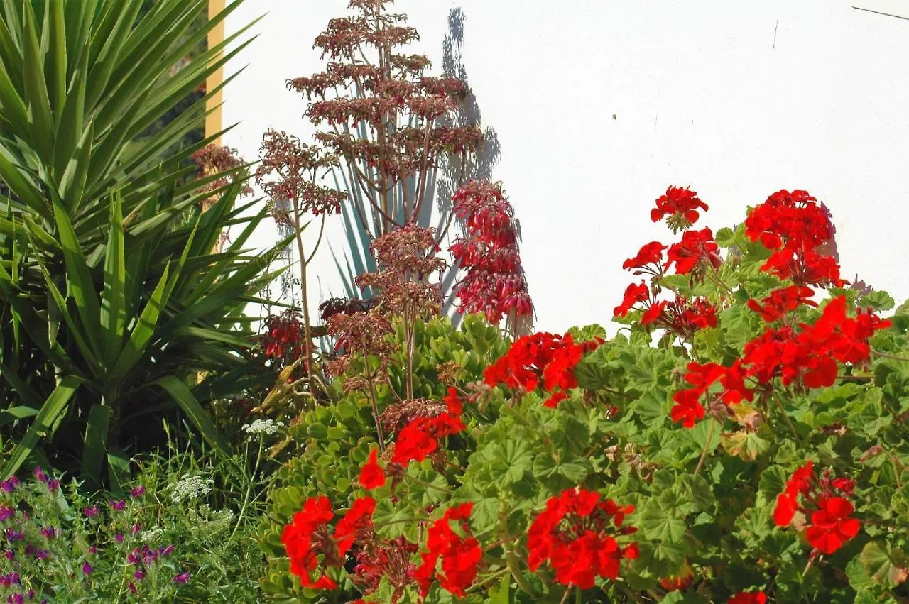 Jingtu Wellness & Spa B&B Comares Bed & Breakfast